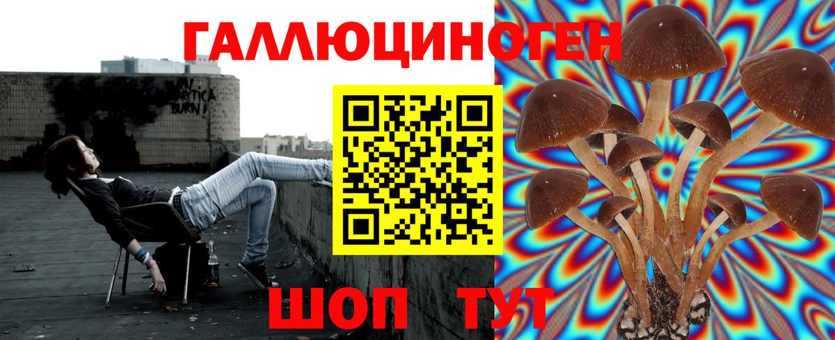 Псилоцибиновые грибы мухоморы  Вход с VPN  Чистополь 