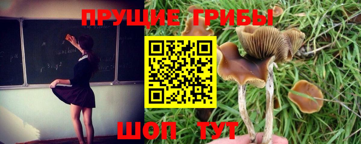 Галлюциногенные грибы мицелий Чистополь