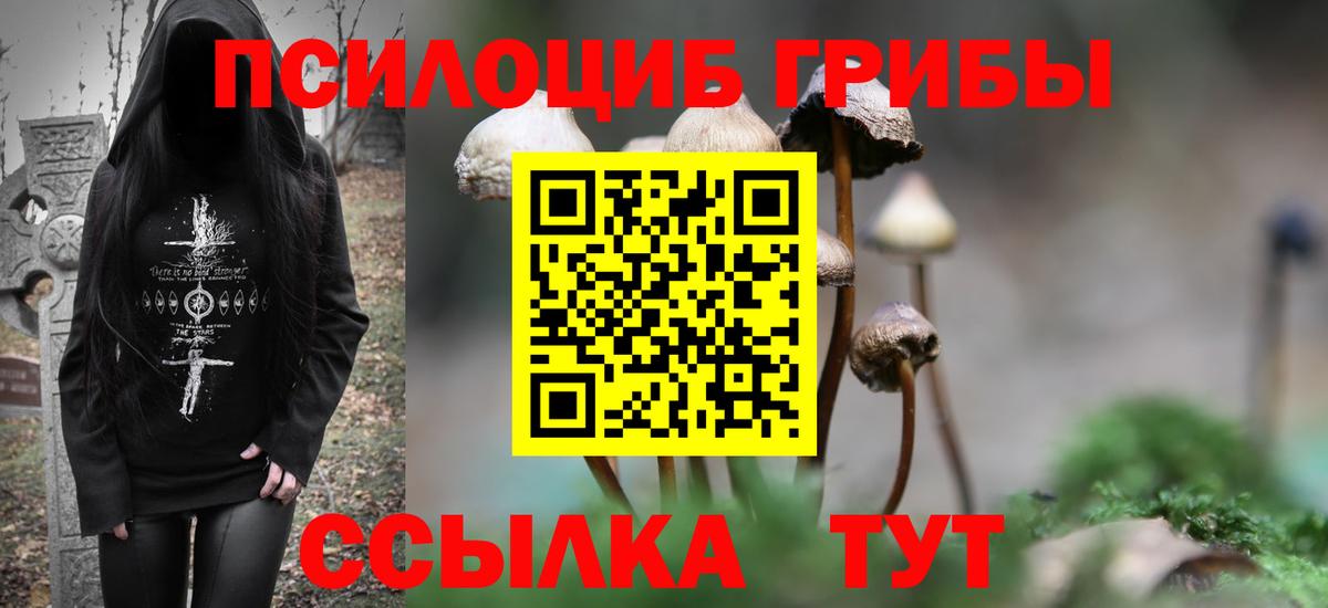 ГАШ Чистополь